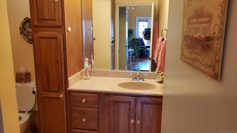 15720 Davis Cup Ln, Ramona, CA 92065 photo 21