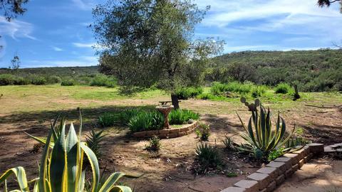 15720 Davis Cup Ln, Ramona, CA 92065 photo 29