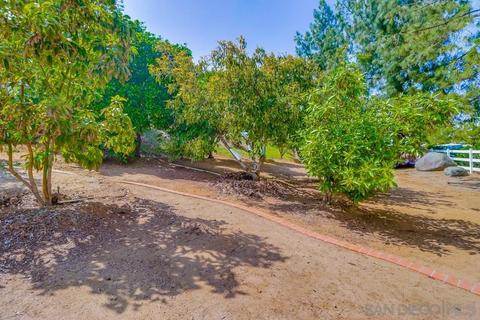 2178 John Dewitt Pl, Alpine, CA 91901 photo 60