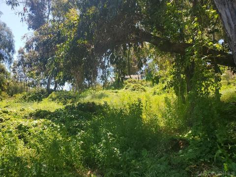 2175 Brookhurst Dr, El Cajon, CA 92019 photo 12