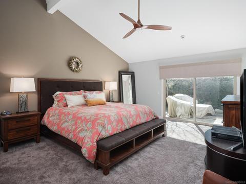 1645 Caminito Asterisco, La Jolla, CA 92037 photo 14