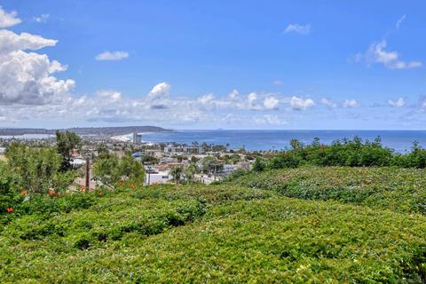 5507 Ladybird Ln, La Jolla, CA 92037 photo 21