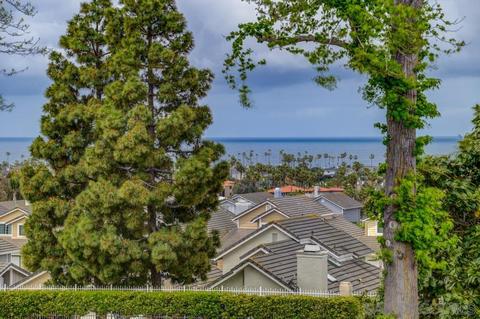 6913 Carnation Dr, Carlsbad, CA 92011 photo 22
