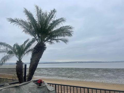 51 Spinnaker Way, Coronado, CA 92118 photo 4