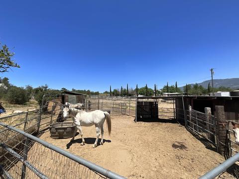 39745 Bautista Rd, Anza, CA 92539 photo 18