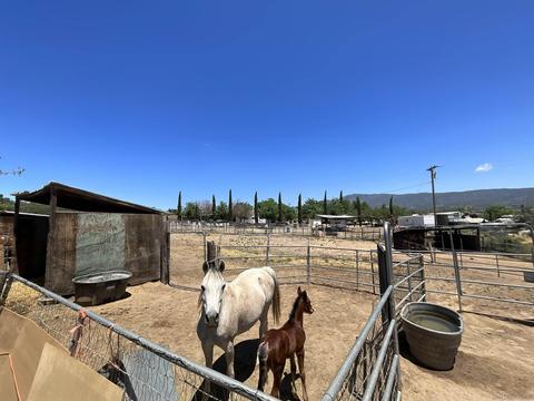 39745 Bautista Rd, Anza, CA 92539 photo 17