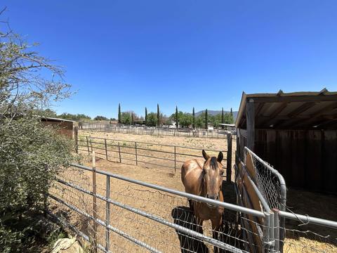 39745 Bautista Rd, Anza, CA 92539 photo 15