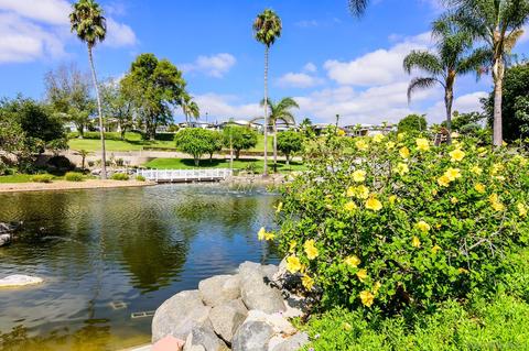 262 Brookside Ln, Oceanside, CA 92056 photo 33