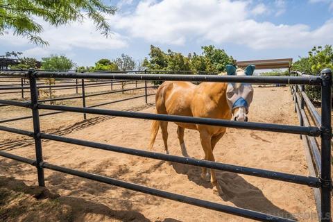 25602 Tin Cup Dr, Ramona, CA 92065 photo 45