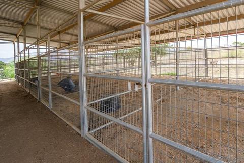 25602 Tin Cup Dr, Ramona, CA 92065 photo 37