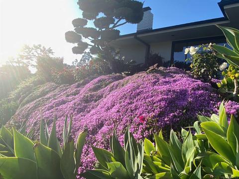 13625 Pine Needles Dr, Del Mar, CA 92014 photo 4
