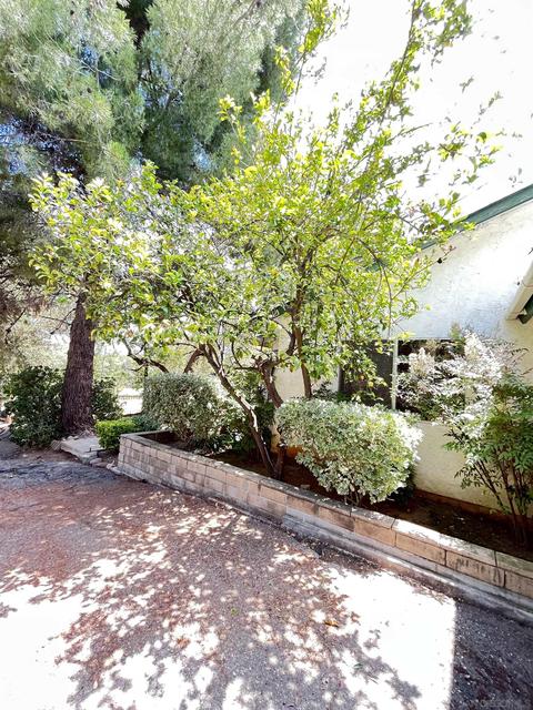 1436 S Grade Rd, Alpine, CA 91901 photo 29