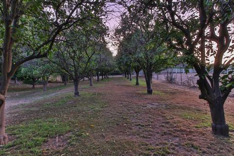 648 Norwynn Ln, Fallbrook, CA 92028 photo 15
