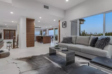 7585 Hillside Dr, La Jolla, CA 92037 photo 43