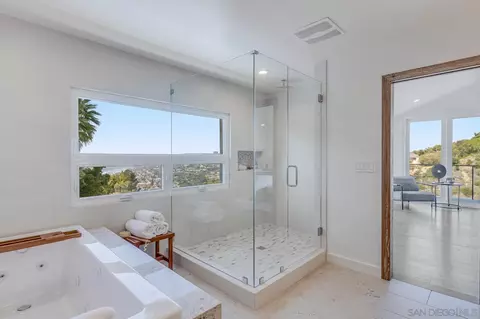 7585 Hillside Dr, La Jolla, CA 92037 photo 58