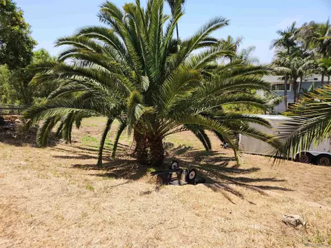 634 Ora Avo Dr, Vista, CA 92084 photo 44