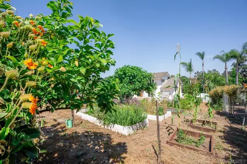 3952 Palomar Dr, Fallbrook, CA 92028 photo 45