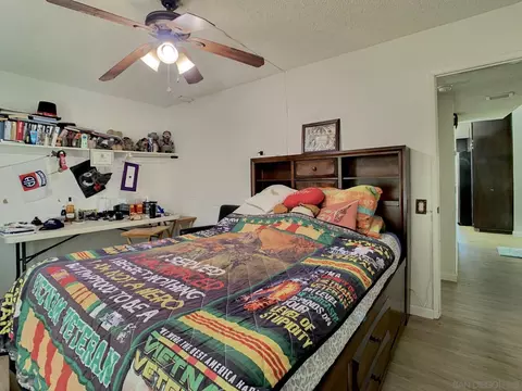 8419 Paseo Iglesia, Spring Valley, CA 91977 photo 8
