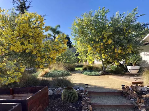 2337 11th St, Encinitas, CA 92024 photo 26