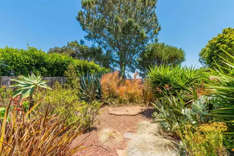 5855 Cactus Way, La Jolla, CA 92037 photo 23