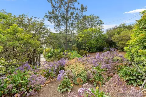 545 Avenida Primavera, Del Mar, CA 92014 photo 8