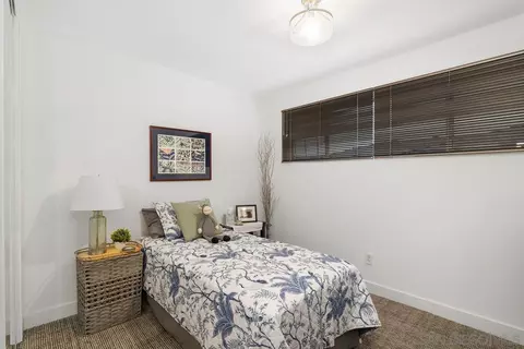 704 Marsolan Ave, Solana Beach, CA 92075 photo 25