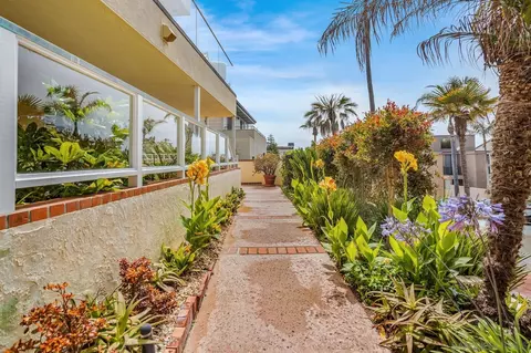 253 Gravilla, La Jolla, CA 92037 photo 9