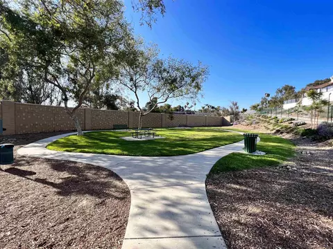 534 Sweet Pea Pl, Encinitas, CA 92024 photo 42