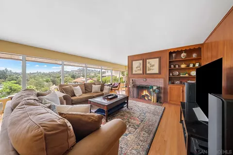 9166 San Juan Pl, La Mesa, CA 91941 photo 50