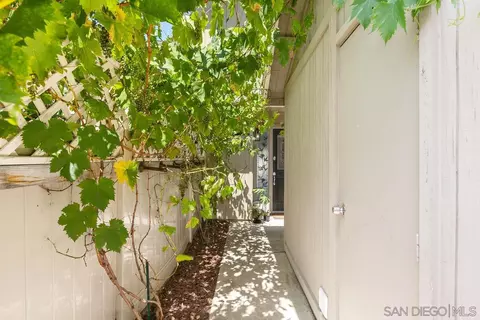 352 Winsome Pl, Encinitas, CA 92024 photo 4