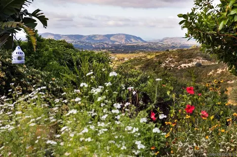 14277 Minorca Cv, Del Mar, CA 92014 photo 4