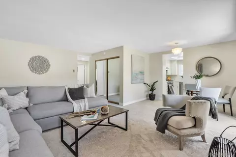 7434 Herschel Ave #8, La Jolla, CA 92037 photo 5