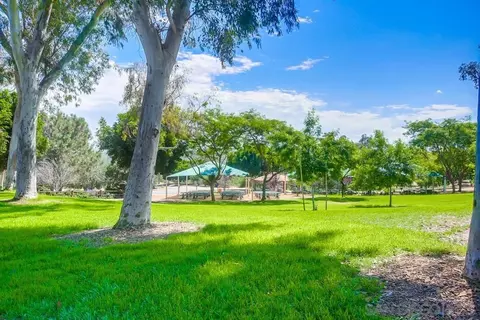 661 San Mario Dr, Solana Beach, CA 92075 photo 48