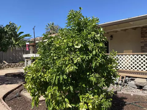 9228 Allano Way, Santee, CA 92071 photo 22