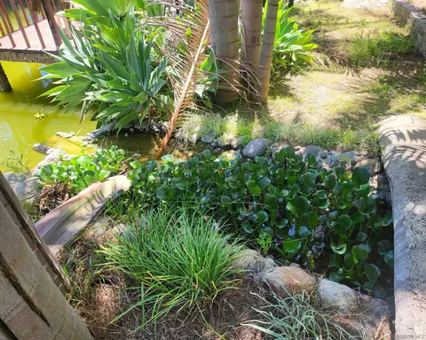 38057 De Luz Rd, Fallbrook, CA 92028 photo 34