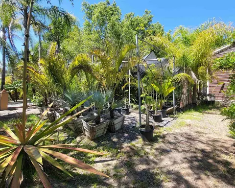 38057 De Luz Rd, Fallbrook, CA 92028 photo 41