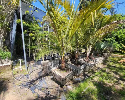38057 De Luz Rd, Fallbrook, CA 92028 photo 40