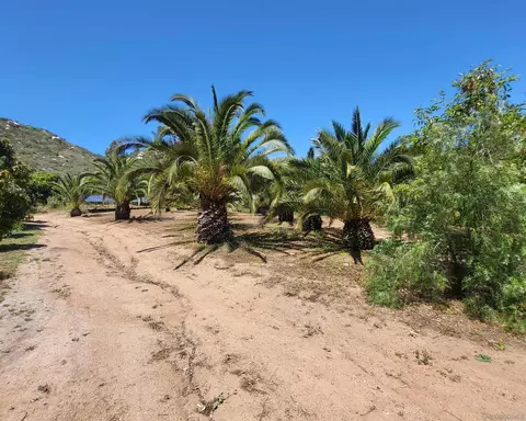 38057 De Luz Rd, Fallbrook, CA 92028 photo 45