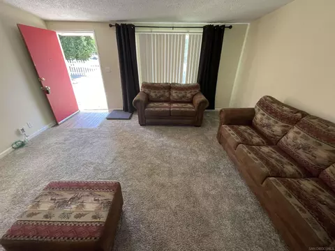 44593 Brawley Ave, Jacumba Hot Springs, CA 91934 photo 10
