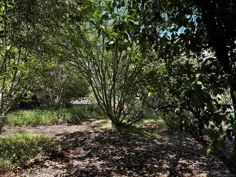 12923 Corte Juana, Poway, CA 92064 photo 29