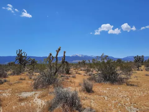 0 Tbd #7, Llano, CA 93544 photo 28
