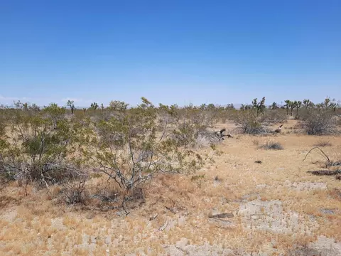0 Tbd #7, Llano, CA 93544 photo 10