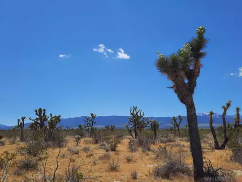 0 Tbd #7, Llano, CA 93544 photo 29