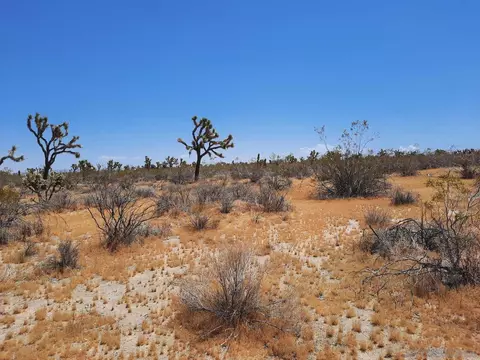 0 Tbd #7, Llano, CA 93544 photo 22