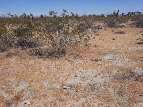 0 Tbd #7, Llano, CA 93544 photo 11