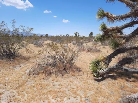 0 Tbd #7, Llano, CA 93544 photo 7