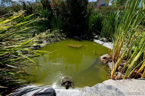 10040 Medina Dr, Santee, CA 92071 photo 46