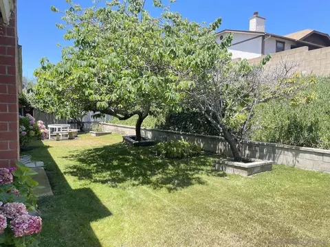 342 El Loro St, Chula Vista, CA 91911 photo 5