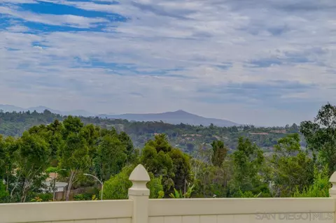 1980 Springdale Ln, Encinitas, CA 92024 photo 33