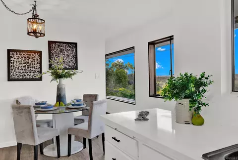 10035 Country View Rd, La Mesa, CA 91941 photo 27
